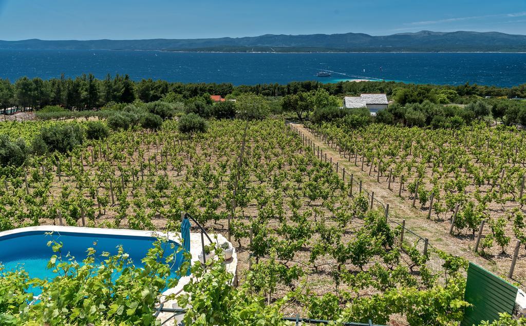 Holiday Home Vineyard House Бол Экстерьер фото