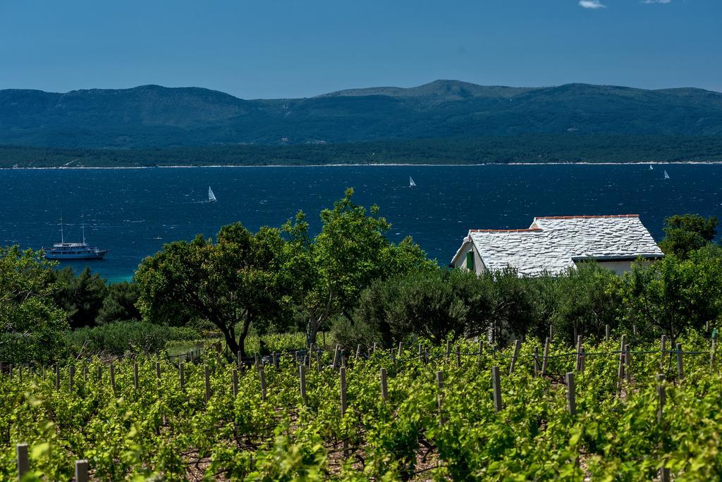 Holiday Home Vineyard House Бол Экстерьер фото