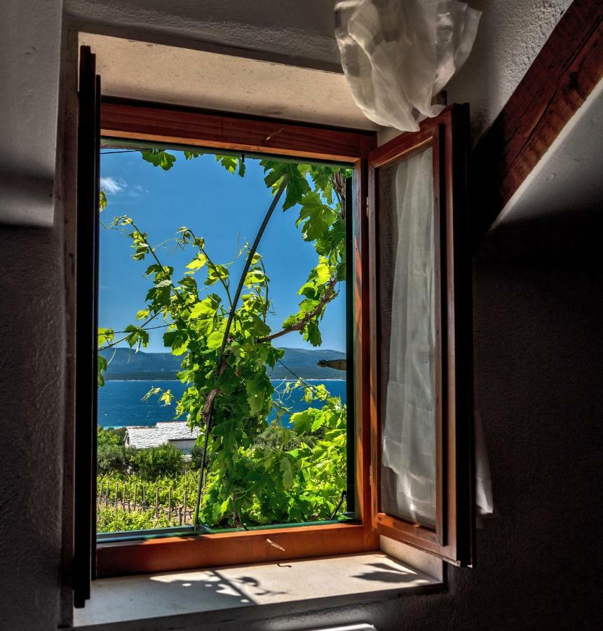 Holiday Home Vineyard House Бол Экстерьер фото
